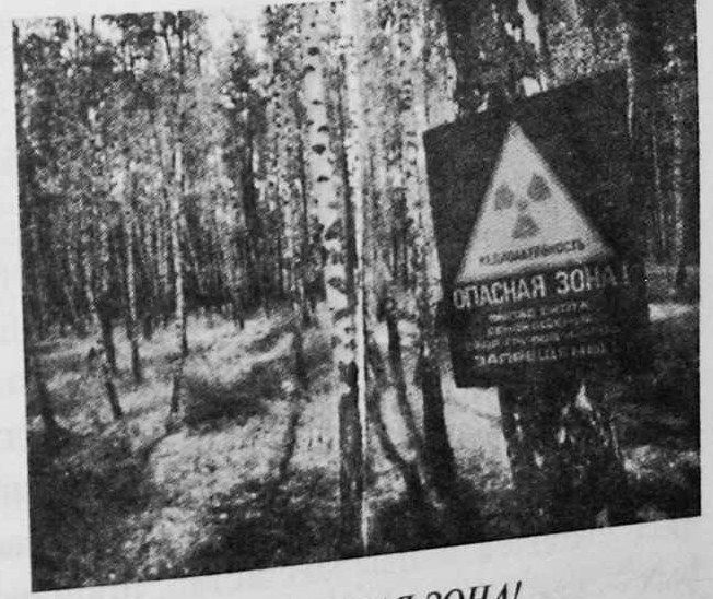 Знак опасной зоны: выпас скота, сенокос, сбор грибов и ягод запрещены.